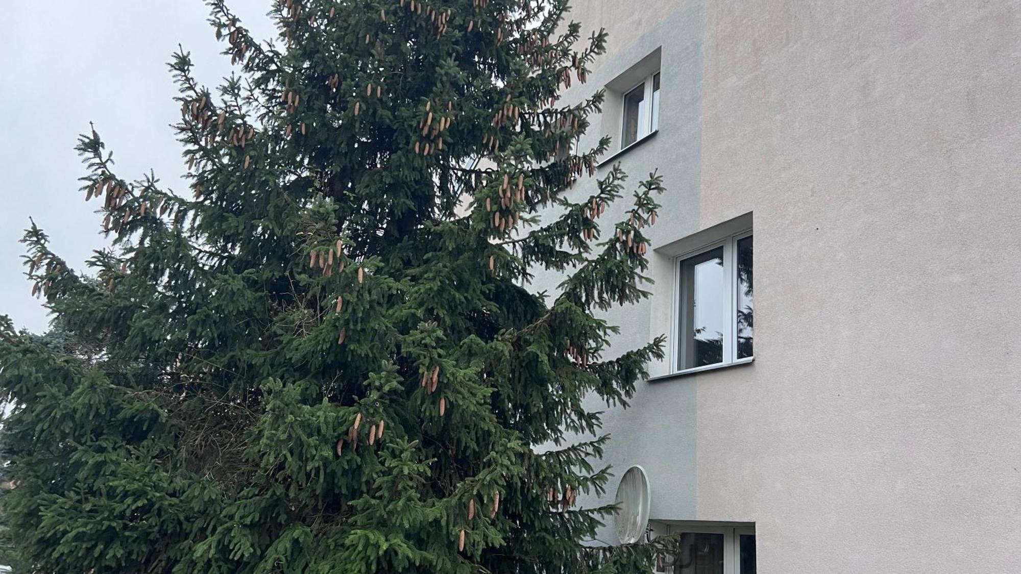 Apartament Niebianskie Pogodno Estetino Exterior foto